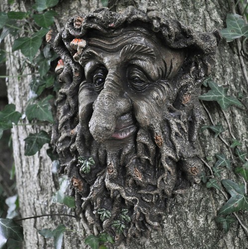 Targa foglia faccia albero